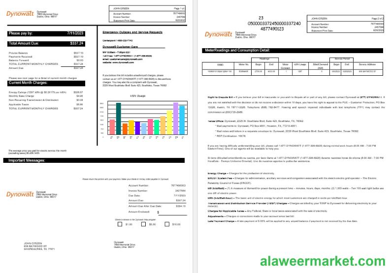 New York  Dynowatt electricity utility bill Word and PDF formats